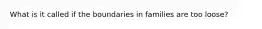 What is it called if the boundaries in families are too loose?