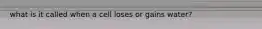what is it called when a cell loses or gains water?