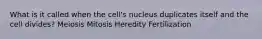 What is it called when the cell's nucleus duplicates itself and the cell divides? Meiosis Mitosis Heredity Fertilization