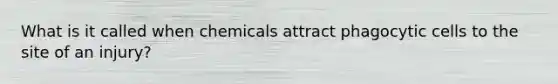 What is it called when chemicals attract phagocytic cells to the site of an injury?