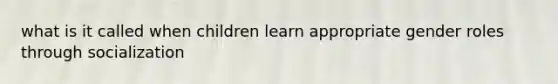 what is it called when children learn appropriate gender roles through socialization