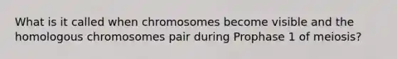 What is it called when chromosomes become visible and the homologous chromosomes pair during Prophase 1 of meiosis?