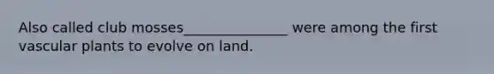 Also called club mosses_______________ were among the first vascular plants to evolve on land.