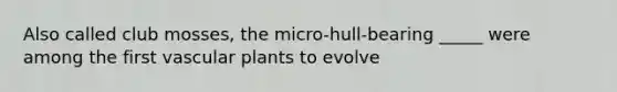 Also called club mosses, the micro-hull-bearing _____ were among the first vascular plants to evolve