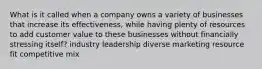 What is it called when a company owns a variety of businesses that increase its effectiveness, while having plenty of resources to add customer value to these businesses without financially stressing itself? industry leadership diverse marketing resource fit competitive mix