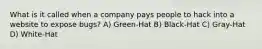 What is it called when a company pays people to hack into a website to expose bugs? A) Green-Hat B) Black-Hat C) Gray-Hat D) White-Hat