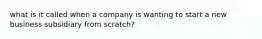 what is it called when a company is wanting to start a new business subsidiary from scratch?