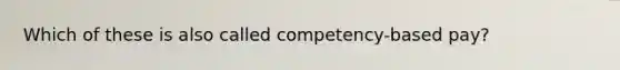 Which of these is also called competency-based pay?