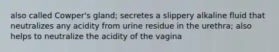 also called Cowper's gland; secretes a slippery alkaline fluid that neutralizes any acidity from urine residue in the urethra; also helps to neutralize the acidity of the vagina