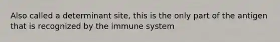 Also called a determinant site, this is the only part of the antigen that is recognized by the immune system