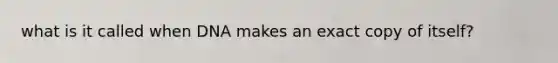 what is it called when DNA makes an exact copy of itself?