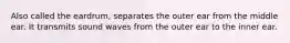 Also called the eardrum, separates the outer ear from the middle ear. It transmits sound waves from the outer ear to the inner ear.