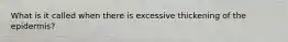 What is it called when there is excessive thickening of the epidermis?