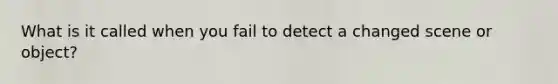 What is it called when you fail to detect a changed scene or object?