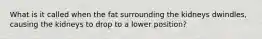 What is it called when the fat surrounding the kidneys dwindles, causing the kidneys to drop to a lower position?