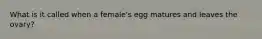 What is it called when a female's egg matures and leaves the ovary?