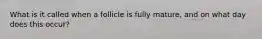 What is it called when a follicle is fully mature, and on what day does this occur?