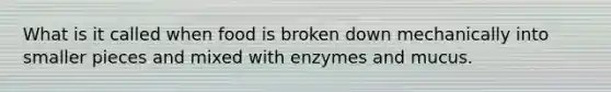 What is it called when food is broken down mechanically into smaller pieces and mixed with enzymes and mucus.