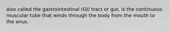 also called the gastrointestinal (GI) tract or gut, is the continuous muscular tube that winds through the body from the mouth to the anus.