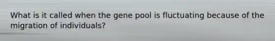 What is it called when the gene pool is fluctuating because of the migration of individuals?