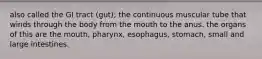 also called the GI tract (gut); the continuous muscular tube that winds through the body from the mouth to the anus. the organs of this are the mouth, pharynx, esophagus, stomach, small and large intestines.