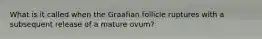 What is it called when the Graafian follicle ruptures with a subsequent release of a mature ovum?