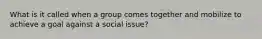 What is it called when a group comes together and mobilize to achieve a goal against a social issue?