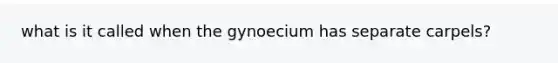 what is it called when the gynoecium has separate carpels?