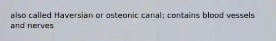 also called Haversian or osteonic canal; contains blood vessels and nerves