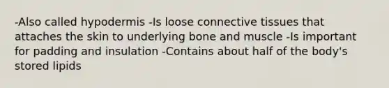 -Also called hypodermis -Is loose connective tissues that attaches the skin to underlying bone and muscle -Is important for padding and insulation -Contains about half of the body's stored lipids