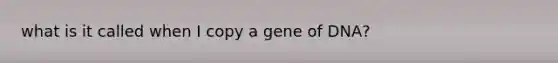 what is it called when I copy a gene of DNA?