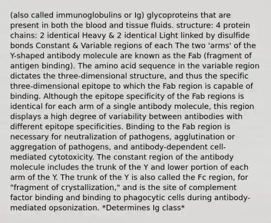 (also called immunoglobulins or Ig) glycoproteins that are present in both <a href='https://www.questionai.com/knowledge/k7oXMfj7lk-the-blood' class='anchor-knowledge'>the blood</a> and tissue fluids. structure: 4 protein chains: 2 identical Heavy & 2 identical Light linked by disulfide bonds Constant & Variable regions of each The two 'arms' of the Y-shaped antibody molecule are known as the Fab (fragment of antigen binding). The amino acid sequence in the variable region dictates the three-dimensional structure, and thus the specific three-dimensional epitope to which the Fab region is capable of binding. Although the epitope specificity of the Fab regions is identical for each arm of a single antibody molecule, this region displays a high degree of variability between antibodies with different epitope specificities. Binding to the Fab region is necessary for neutralization of pathogens, agglutination or aggregation of pathogens, and antibody-dependent cell-mediated cytotoxicity. The constant region of the antibody molecule includes the trunk of the Y and lower portion of each arm of the Y. The trunk of the Y is also called the Fc region, for "fragment of crystallization," and is the site of complement factor binding and binding to phagocytic cells during antibody-mediated opsonization. *Determines Ig class*