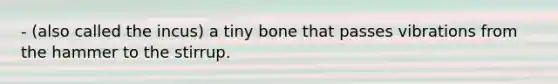 - (also called the incus) a tiny bone that passes vibrations from the hammer to the stirrup.