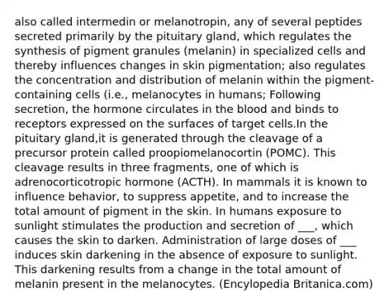 also called intermedin or melanotropin, any of several peptides secreted primarily by the pituitary gland, which regulates the synthesis of pigment granules (melanin) in specialized cells and thereby influences changes in skin pigmentation; also regulates the concentration and distribution of melanin within the pigment-containing cells (i.e., melanocytes in humans; Following secretion, the hormone circulates in the blood and binds to receptors expressed on the surfaces of target cells.In the pituitary gland,it is generated through the cleavage of a precursor protein called proopiomelanocortin (POMC). This cleavage results in three fragments, one of which is adrenocorticotropic hormone (ACTH). In mammals it is known to influence behavior, to suppress appetite, and to increase the total amount of pigment in the skin. In humans exposure to sunlight stimulates the production and secretion of ___, which causes the skin to darken. Administration of large doses of ___ induces skin darkening in the absence of exposure to sunlight. This darkening results from a change in the total amount of melanin present in the melanocytes. (Encylopedia Britanica.com)