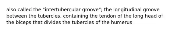 also called the "intertubercular groove"; the longitudinal groove between the tubercles, containing the tendon of the long head of the biceps that divides the tubercles of the humerus