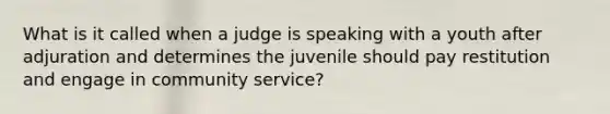 What is it called when a judge is speaking with a youth after adjuration and determines the juvenile should pay restitution and engage in community service?