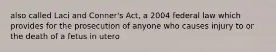 also called Laci and Conner's Act, a 2004 federal law which provides for the prosecution of anyone who causes injury to or the death of a fetus in utero