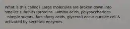 What is this called? Large molecules are broken down into smaller subunits (proteins →amino acids, polysaccharides →simple sugars, fats→fatty acids, glycerol) occur outside cell & activated by secreted enzymes