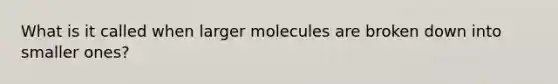 What is it called when larger molecules are broken down into smaller ones?