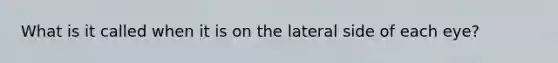What is it called when it is on the lateral side of each eye?