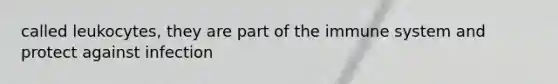 called leukocytes, they are part of the immune system and protect against infection