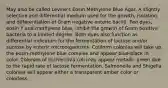 May also be called Levine's Eosin Methylene Blue Agar. A slightly selective and differential medium used for the growth, isolation, and differentiation of Gram negative enteric bacilli. Two dyes, eosin Y and methylene blue, inhibit the growth of Gram positive bacteria to a limited degree. Both dyes also function as differential indicators for the fermentation of lactose and/or sucrose by enteric microorganisms. Coliform colonies will take up the eosin-methylene blue complex and appear blue-black in color. Colonies of Escherichia coli may appear metallic green due to the rapid rate of lactose fermentation. Salmonella and Shigella colonies will appear either a transparent amber color or colorless.