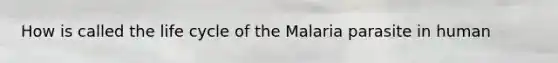 How is called the life cycle of the Malaria parasite in human