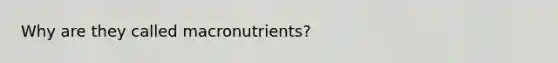 Why are they called macronutrients?