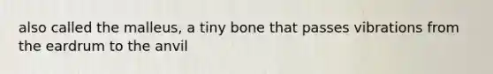 also called the malleus, a tiny bone that passes vibrations from the eardrum to the anvil