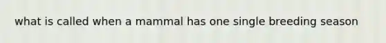 what is called when a mammal has one single breeding season