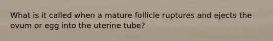 What is it called when a mature follicle ruptures and ejects the ovum or egg into the uterine tube?