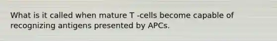 What is it called when mature T -cells become capable of recognizing antigens presented by APCs.