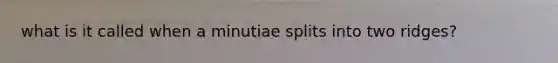 what is it called when a minutiae splits into two ridges?