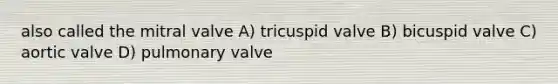 also called the mitral valve A) tricuspid valve B) bicuspid valve C) aortic valve D) pulmonary valve